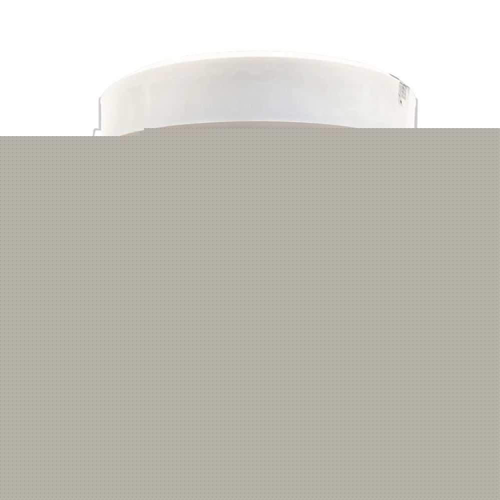 رئال گین ویثر نوتریشن 4540 گرمی طعم شکلات | Wisser Nutrition Real Gain